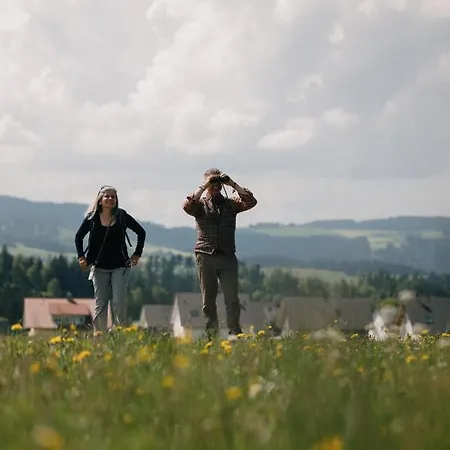 Der Hirschen Sankt Märgen