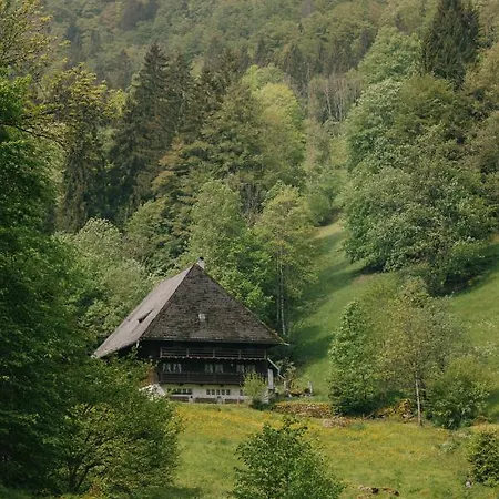 Der Hirschen Sankt Märgen