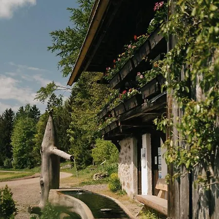 Der Hirschen Hotel Sankt Märgen