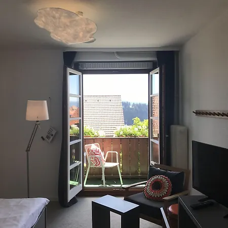 Der Hirschen Hotel 3*