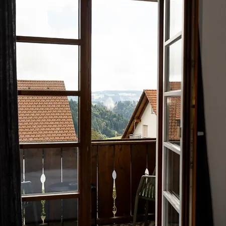 Der Hirschen Hotel 3*