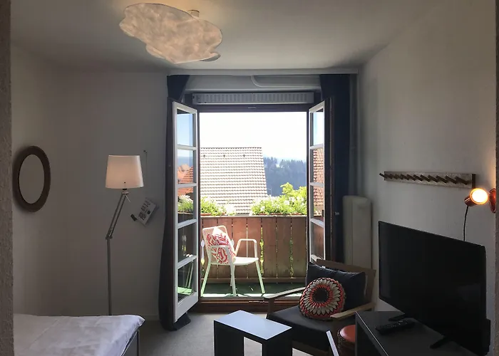 Der Hirschen Hotel 3*